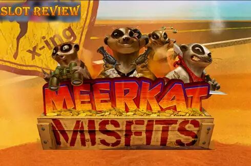 Meerkat Misfits